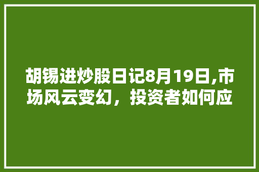 胡锡进炒股日记8月19日,市场风云变幻，投资者如何应对