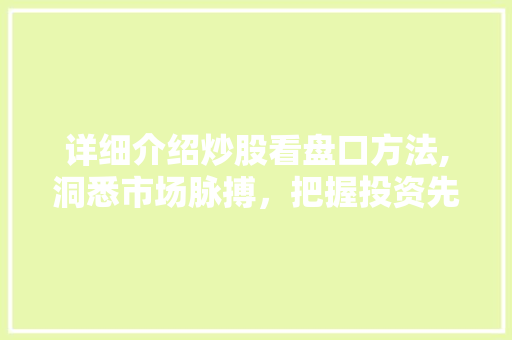 详细介绍炒股看盘口方法,洞悉市场脉搏,把握投资先机