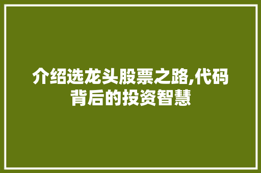 介绍选龙头股票之路,代码背后的投资智慧 介绍选龙头股票之路,代码背后的投资智慧