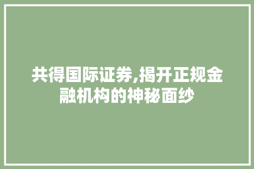 共得国际证券,揭开正规金融机构的神秘面纱