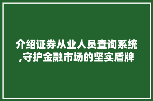 介绍证券从业人员查询系统,守护金融市场的坚实盾牌 介绍证券从业人员查询系统,守护金融市场的坚实盾牌
