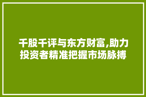 千股千评与东方财富,助力投资者精准把握市场脉搏