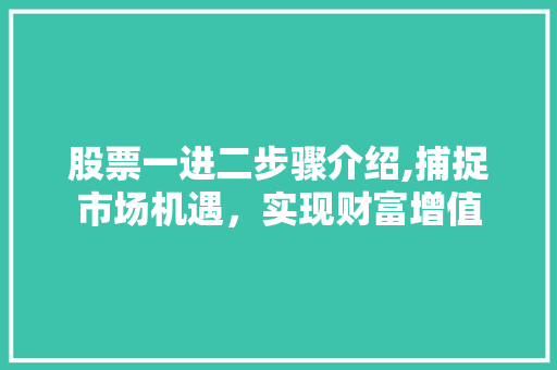 股票一进二步骤介绍,捕捉市场机遇,实现财富增值