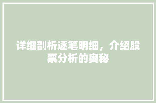详细剖析逐笔明细,介绍股票分析的奥秘