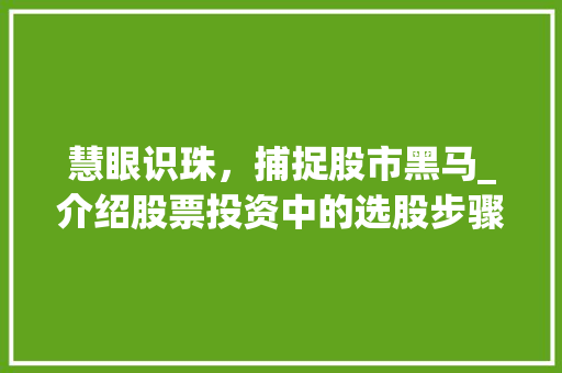 慧眼识珠,捕捉股市黑马_介绍股票投资中的选股步骤