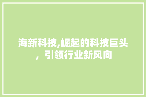 海新科技,崛起的科技巨头,引领行业新风向