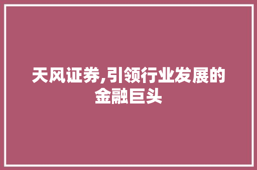 天风证券,引领行业发展的金融巨头