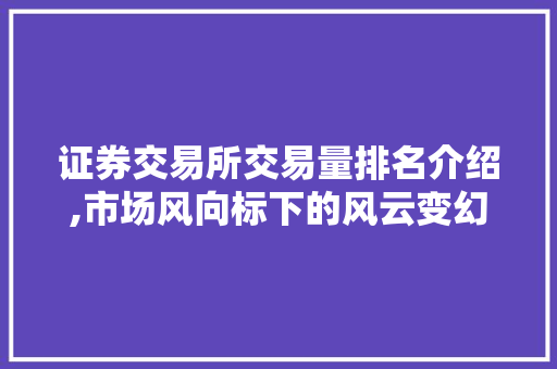 证券交易所交易量排名介绍,市场风向标下的风云变幻 证券交易所交易量排名介绍,市场风向标下的风云变幻