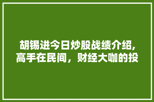 胡锡进今日炒股战绩介绍,高手在民间,财经大咖的投资智慧 胡锡进今日炒股战绩介绍,高手在民间,财经大咖的投资智慧