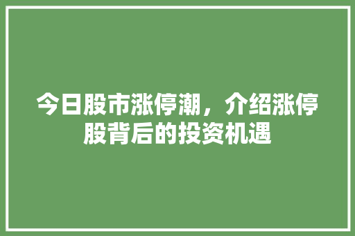 今日股市涨停潮,介绍涨停股背后的投资机遇 今日股市涨停潮,介绍涨停股背后的投资机遇