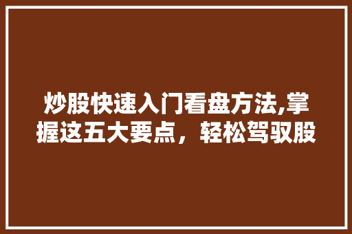 炒股快速入门看盘方法,掌握这五大要点,轻松驾驭股市风云 炒股快速入门看盘方法,掌握这五大要点,轻松驾驭股市风云
