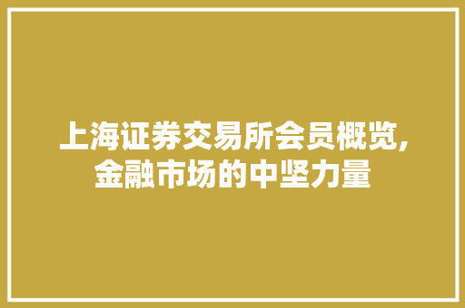 上海证券交易所会员概览,金融市场的中坚力量 上海证券交易所会员概览,金融市场的中坚力量