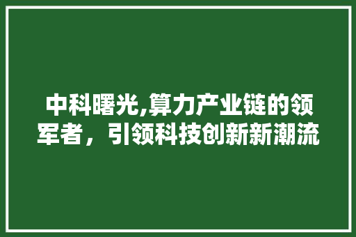 中科曙光,算力产业链的领军者,引领科技创新新潮流 中科曙光,算力产业链的领军者,引领科技创新新潮流