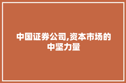 中国证券公司,资本市场的中坚力量 中国证券公司,资本市场的中坚力量