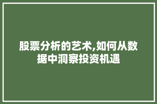股票分析的艺术,如何从数据中洞察投资机遇 股票分析的艺术,如何从数据中洞察投资机遇
