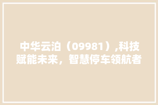 中华云泊(09981),科技赋能未来,智慧停车领航者 中华云泊(09981),科技赋能未来,智慧停车领航者