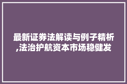 最新证券法解读与例子精析,法治护航资本市场稳健发展 最新证券法解读与例子精析,法治护航资本市场稳健发展