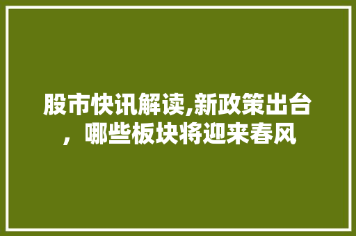 股市快讯解读,新政策出台，哪些板块将迎来春风