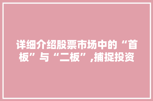 详细介绍股票市场中的“首板”与“二板”,捕捉投资机遇的关键要素