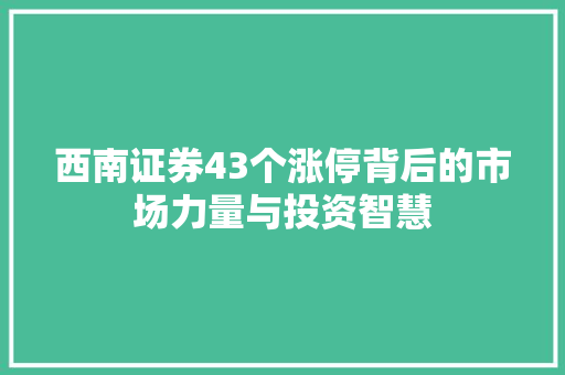 西南证券43个涨停背后的市场力量与投资智慧