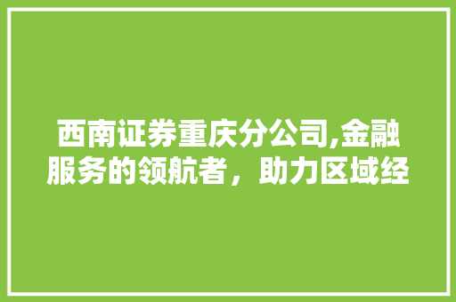 西南证券重庆分公司,金融服务的领航者，助力区域经济腾飞