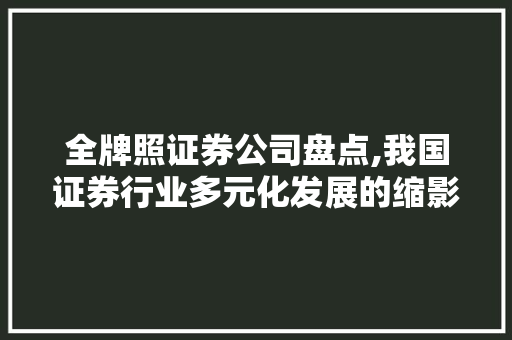 全牌照证券公司盘点,我国证券行业多元化发展的缩影