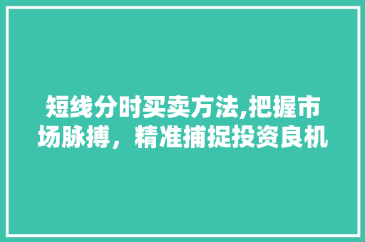 短线分时买卖方法,把握市场脉搏,精准捕捉投资良机