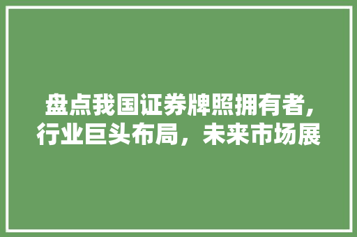 盘点我国证券牌照拥有者,行业巨头布局,未来市场展望