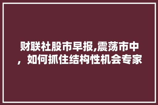 财联社股市早报,震荡市中,如何抓住结构性机会专家介绍市场动态及投资步骤 财联社股市早报,震荡市中,如何抓住结构性机会专家介绍市场动态及投资步骤