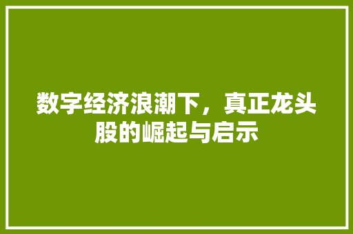 数字经济浪潮下,真正龙头股的崛起与启示 数字经济浪潮下,真正龙头股的崛起与启示