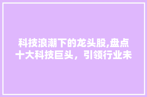 科技浪潮下的龙头股,盘点十大科技巨头,引领行业未来 科技浪潮下的龙头股,盘点十大科技巨头,引领行业未来