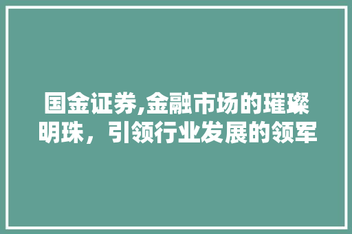 国金证券,金融市场的璀璨明珠,引领行业发展的领军企业 国金证券,金融市场的璀璨明珠,引领行业发展的领军企业
