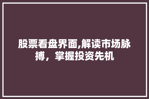 股票看盘界面,解读市场脉搏,掌握投资先机 股票看盘界面,解读市场脉搏,掌握投资先机