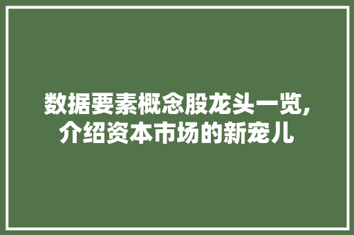 数据要素概念股龙头一览,介绍资本市场的新宠儿 数据要素概念股龙头一览,介绍资本市场的新宠儿