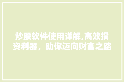 炒股软件使用详解,高效投资利器，助你迈向财富之路