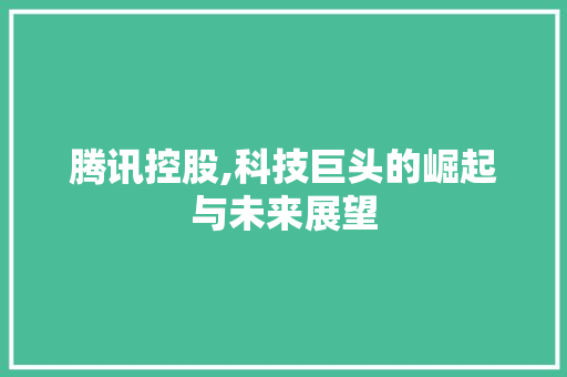 腾讯控股,科技巨头的崛起与未来展望 腾讯控股,科技巨头的崛起与未来展望