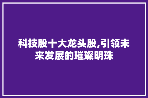 科技股十大龙头股,引领未来发展的璀璨明珠 科技股十大龙头股,引领未来发展的璀璨明珠