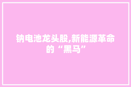 钠电池龙头股,新能源革命的“黑马” 钠电池龙头股,新能源革命的“黑马”