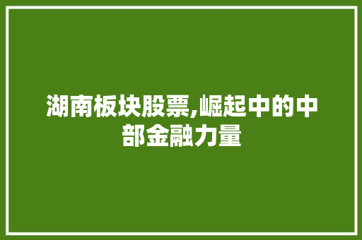 湖南板块股票,崛起中的中部金融力量 湖南板块股票,崛起中的中部金融力量