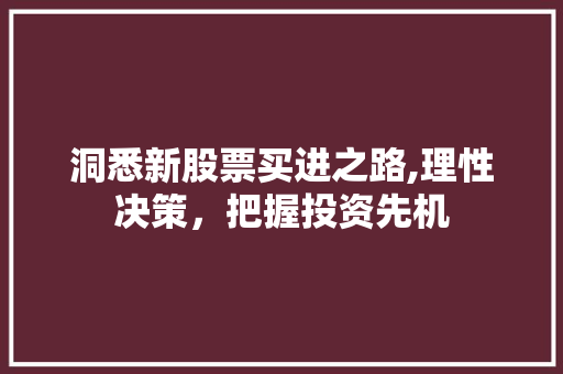 洞悉新股票买进之路,理性决策,把握投资先机 洞悉新股票买进之路,理性决策,把握投资先机