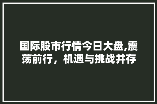 国际股市行情今日大盘,震荡前行,机遇与挑战并存 国际股市行情今日大盘,震荡前行,机遇与挑战并存