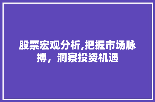股票宏观分析,把握市场脉搏,洞察投资机遇 股票宏观分析,把握市场脉搏,洞察投资机遇