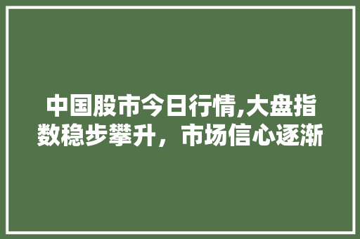 中国股市今日行情,大盘指数稳步攀升,市场信心逐渐恢复 中国股市今日行情,大盘指数稳步攀升,市场信心逐渐恢复