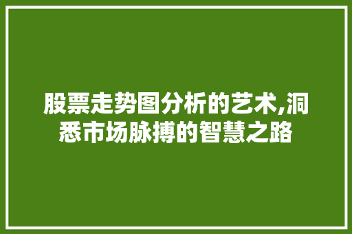 股票走势图分析的艺术,洞悉市场脉搏的智慧之路 股票走势图分析的艺术,洞悉市场脉搏的智慧之路