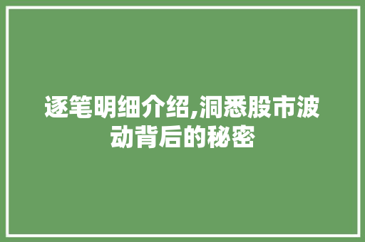 逐笔明细介绍,洞悉股市波动背后的秘密 逐笔明细介绍,洞悉股市波动背后的秘密