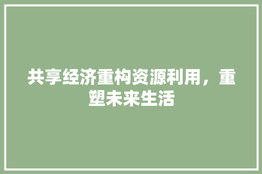 共享经济重构资源利用,重塑未来生活 共享经济重构资源利用,重塑未来生活