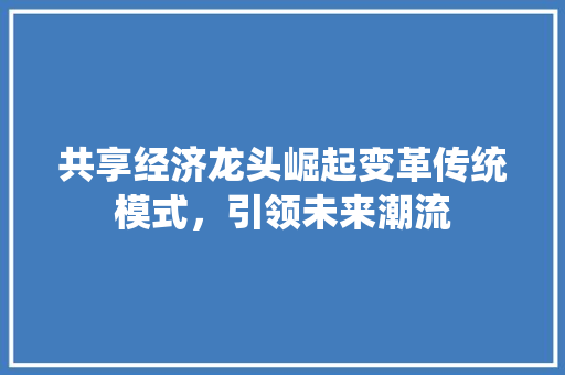 共享经济龙头崛起变革传统模式,引领未来潮流 共享经济龙头崛起变革传统模式,引领未来潮流