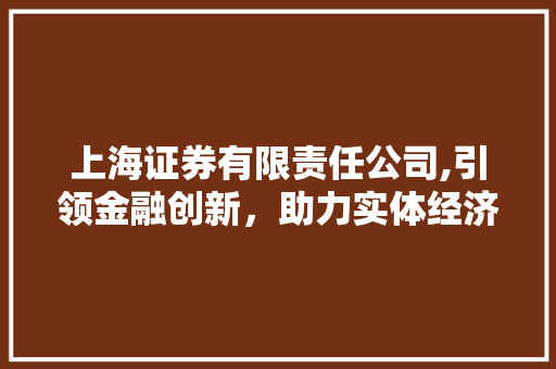 上海证券有限责任公司,引领金融创新,助力实体经济腾飞 上海证券有限责任公司,引领金融创新,助力实体经济腾飞