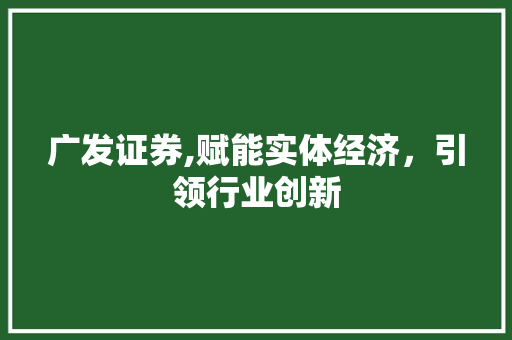 广发证券,赋能实体经济,引领行业创新 广发证券,赋能实体经济,引领行业创新