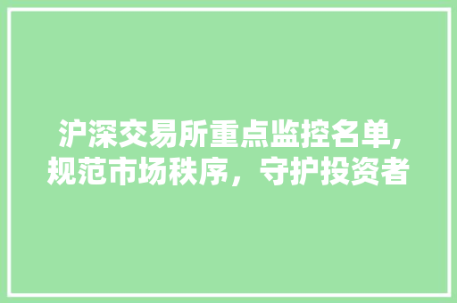 沪深交易所重点监控名单,规范市场秩序,守护投资者权益 沪深交易所重点监控名单,规范市场秩序,守护投资者权益